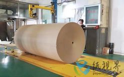15萬噸高強瓦楞紙項目正式開工